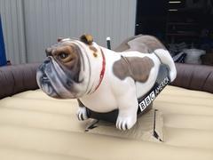 Mechanical bull - BULLDOG - american flag (includes 1 operator) Mechanical bull - BULLDOG - american flag (includes 1 operator)