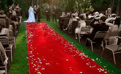 Red carpet 4'X25' Red carpet 4'X25'