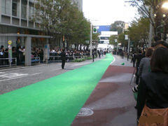 Green Carpet 4'X25' Green Carpet 4'X25'