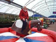 Mechanical bull - Rodeo Reindeer (includes 1 operator) Mechanical bull - Rodeo Reindeer (includes 1 operator)